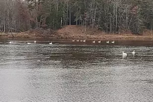 N6079 Shore Dr Q-4 -, Menominee, MI 49893 - Photo 55