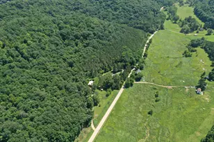 E13992 Jug Creek Rd, Stark, WI 54639 - Photo 43