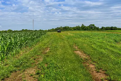 00 N Lyster Rd, Viroqua, WI 54652 - Photo 11
