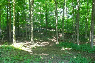 6905 Colt Cir, Barton, WI 53090 - Photo 25