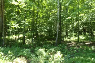 6197 Freedom Corners Rd, Freedom, WI 54566 - Photo 23