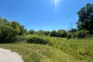 Lt8 Violet Rd, Bloomfield, WI 53128 - Photo 1