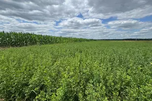 1602 State Hwy 60 -, Jackson, WI 53037 - Photo 35