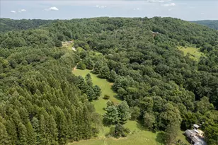 S3997 Stittleburg Ln, Stark, WI 54639 - Photo 19