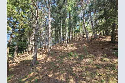 N3290  Russlan Coulee Rd, Barre, WI 54601 - Photo 71