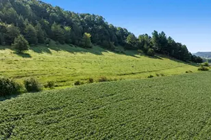 N3290 Russlan Coulee Rd, Barre, WI 54601 - Photo 39