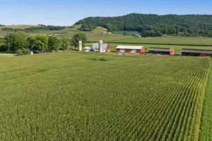 N3290 Russlan Coulee Rd, Barre, WI 54601 - Photo 51