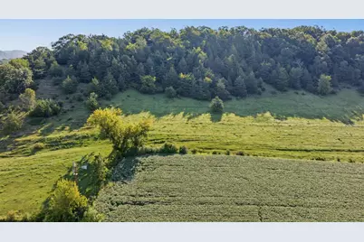 N3290  Russlan Coulee Rd, Barre, WI 54601 - Photo 49