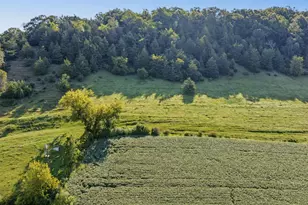 N3290 Russlan Coulee Rd, Barre, WI 54601 - Photo 49