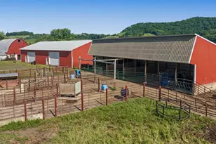 N3290 Russlan Coulee Rd, Barre, WI 54601 - Photo 59