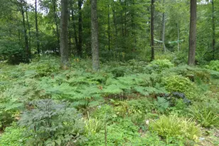 N1619 Fox Ridge Trail, Menominee, WI 54135 - Photo 13