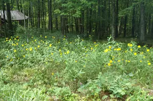 N1619 Fox Ridge Trail, Menominee, WI 54135 - Photo 7
