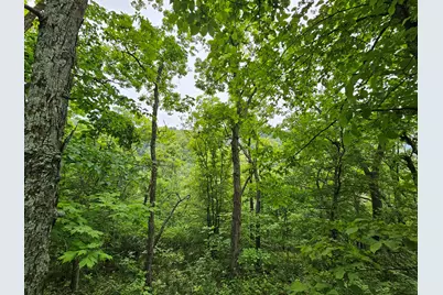 S5897  Milkweed Ln, Liberty, WI 54664 - Photo 25