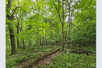 S5897  Milkweed Ln, Liberty, WI 54664 - Photo 23