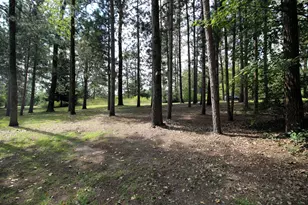 N9342 21st Ave, Neshkoro, WI 54960 - Photo 39