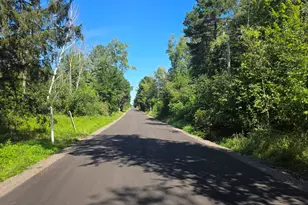 0 Shircel Rd, Wilson, WI 53081 - Photo 1