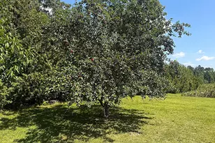 N8217 Co Rd Y, Watertown, WI 53094 - Photo 73