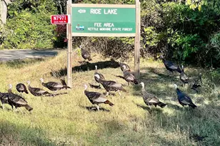 N7718 Kettle Moraine Dr, Whitewater, WI 53190 - Photo 17