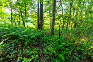 5292 Stenner Hill Rd, Marion, WI 53805 - Photo 45