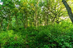 5292 Stenner Hill Rd, Marion, WI 53805 - Photo 67