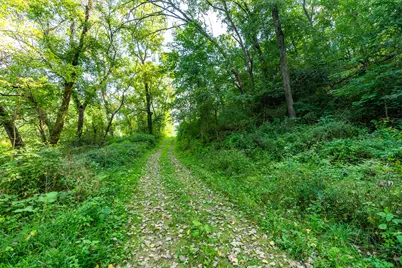 5292  Stenner Hill Rd, Marion, WI 53805 - Photo 9