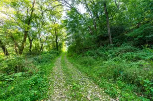 5292 Stenner Hill Rd, Marion, WI 53805 - Photo 9