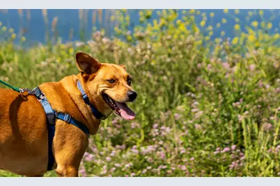 4100 S Lake Dr #109, Saint Francis, WI 53235 - Photo 33