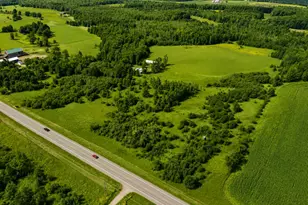 W14498 US Hwy 45 -, Grant, WI 54486 - Photo 3