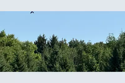 Ea36240000  State Line Rd, Walworth, WI 53184 - Photo 13