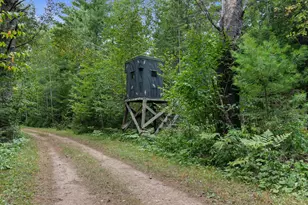 W7338 Flambeau River Rd, Fifield, WI 54524 - Photo 43