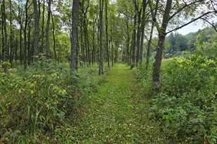 14502 Burrows Ln, Forest, WI 54664 - Photo 49