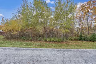 Lt28 Big Ben Rd, Osceola, WI 53019 - Photo 1