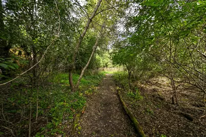 920 E Fairy Chasm Rd, Bayside, WI 53217 - Photo 29