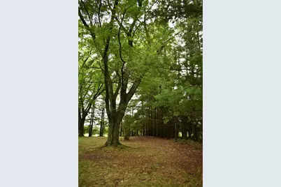 W7017  Redwood Rd, Chester, WI 53922 - Photo 45