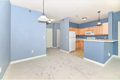 4120 S Lake Dr #C355, Saint Francis, WI 53235 - Photo 11