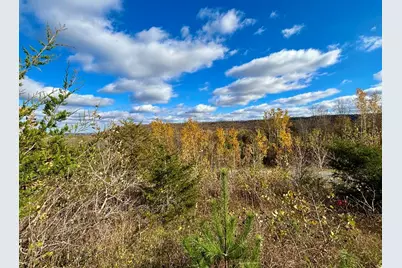 29651  County 5 -, Fillmore, MN 55990 - Photo 69