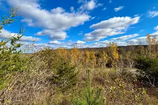 29651 County 5, Fillmore, MN 55990 - Photo 69