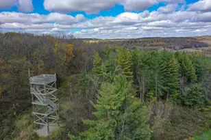 29651 County 5, Fillmore, MN 55990 - Photo 45