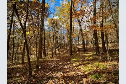 29651  County 5 -, Fillmore, MN 55990 - Photo 85