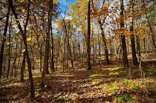 29651 County 5, Fillmore, MN 55990 - Photo 85