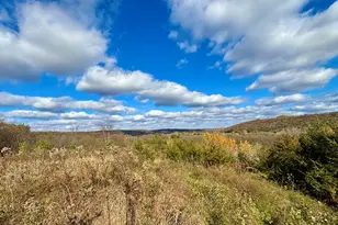 29651 County 5, Fillmore, MN 55990 - Photo 65