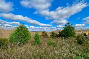 29651 County 5, Fillmore, MN 55990 - Photo 71