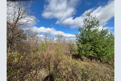 29651  County 5 -, Fillmore, MN 55990 - Photo 73