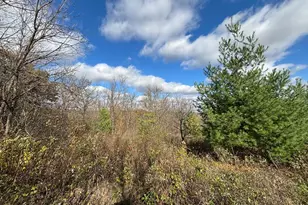 29651 County 5, Fillmore, MN 55990 - Photo 73