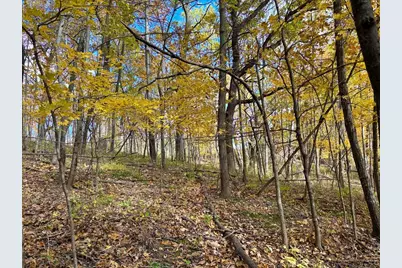 29651  County 5 -, Fillmore, MN 55990 - Photo 89