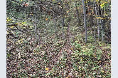 Lot 31  Woodland Ln, Webster, WI 54664 - Photo 13