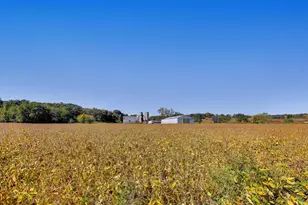 W8467 Hwy 11 Hwy, Darien, WI 53115 - Photo 31