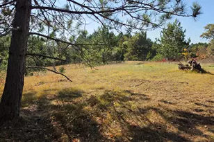 W8620 Glendale Rd, Wausaukee, WI 54177 - Photo 33