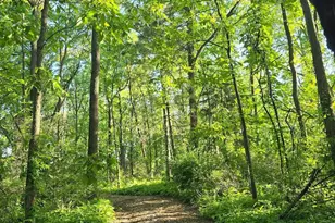 W3221 Park Dr, Geneva, WI 53147 - Photo 57