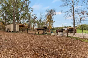 W3221 Park Dr, Geneva, WI 53147 - Photo 49